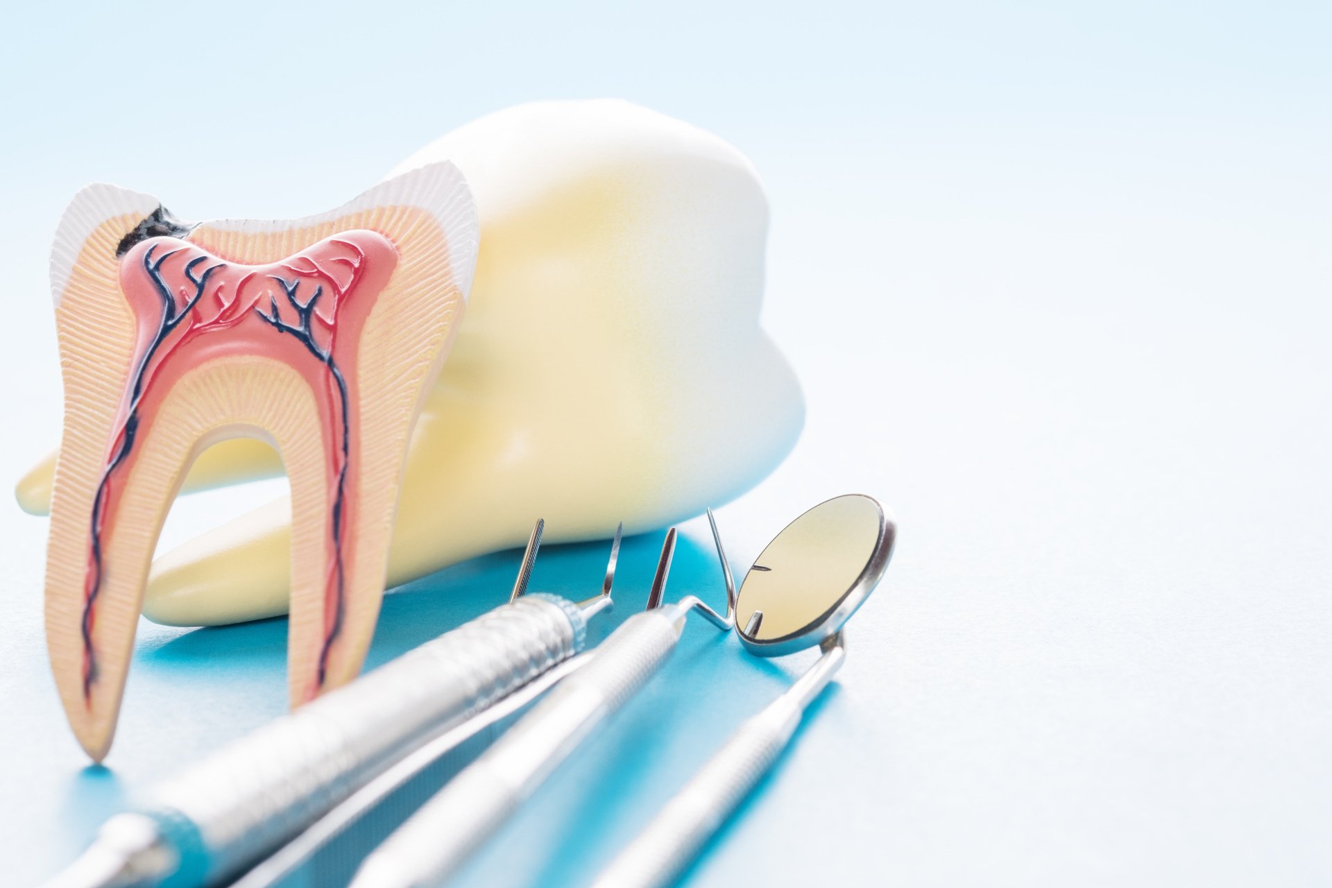Endodonti ürün görseli